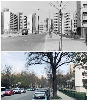 Abbildung 2: Dannenwalder Weg / Treuenbrietzener Straße im Februar 1971; Mit freundlicher Genehmigung durch EPHA PHOTOGRAPHY / http://epha.berlin/